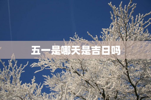 五一是哪天是吉日吗
