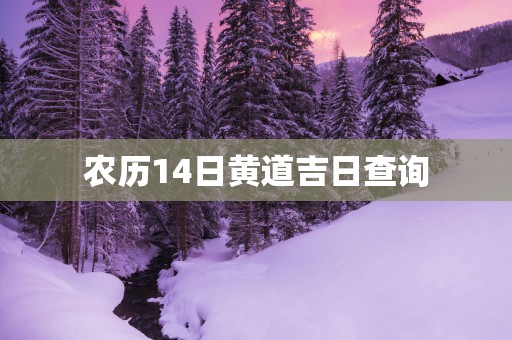 农历14日黄道吉日查询