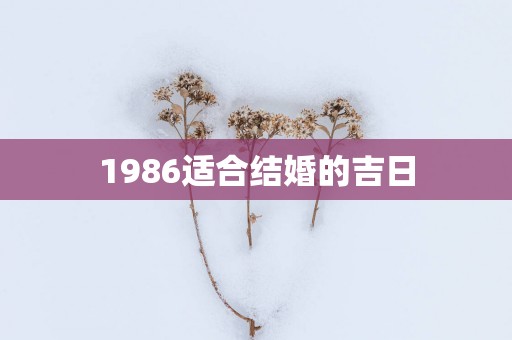 1986适合结婚的吉日