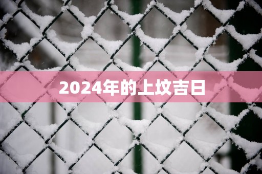 2025年的上坟吉日