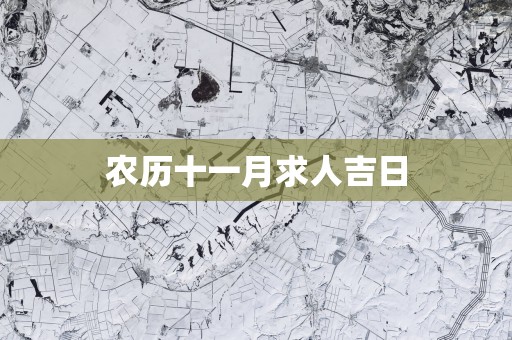 农历十一月求人吉日