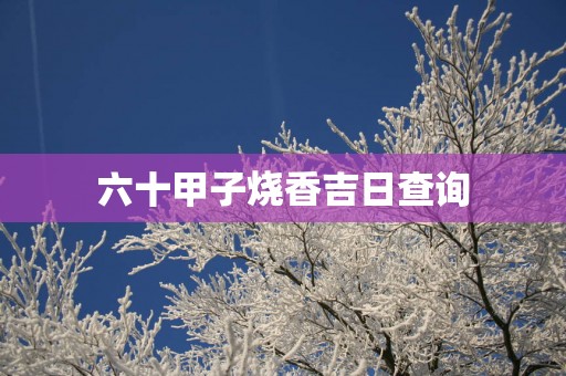六十甲子烧香吉日查询