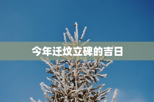 今年迁坟立碑的吉日