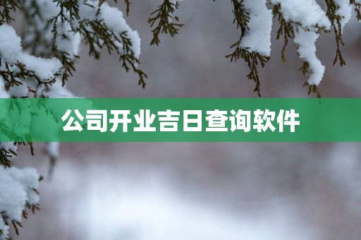 公司开业吉日查询软件