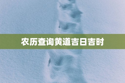 农历查询黄道吉日吉时