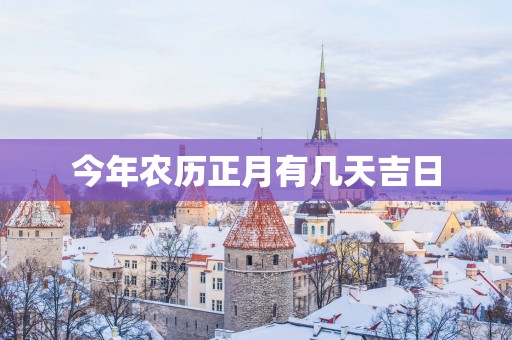 今年农历正月有几天吉日