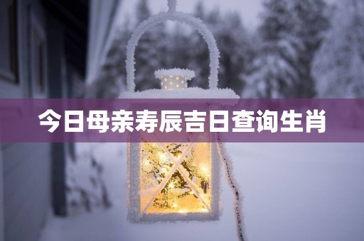今日母亲寿辰吉日查询生肖