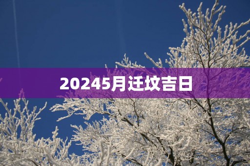 20255月迁坟吉日