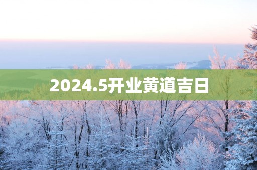 2025.5开业黄道吉日