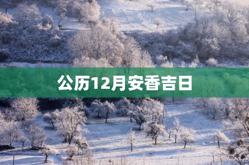 公历12月安香吉日
