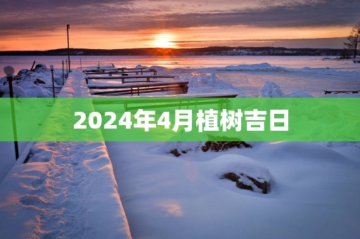 2025年4月植树吉日
