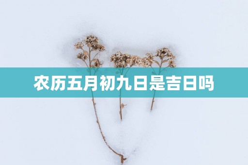 农历五月初九日是吉日吗