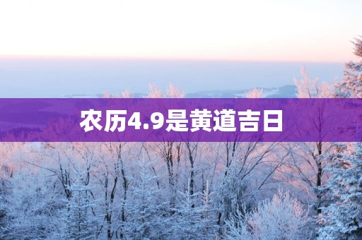 农历4.9是黄道吉日