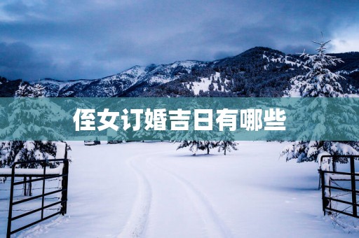 侄女订婚吉日有哪些