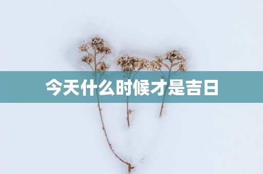 今天什么时候才是吉日