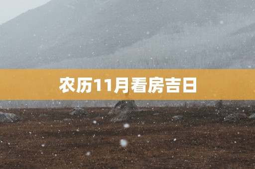 农历11月看房吉日
