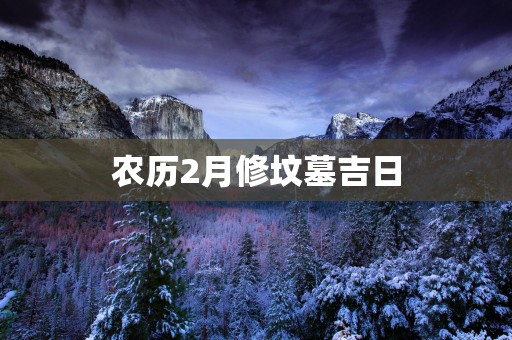 农历2月修坟墓吉日