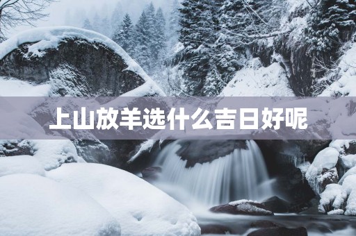 上山放羊选什么吉日好呢