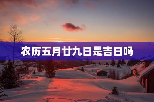 农历五月廿九日是吉日吗