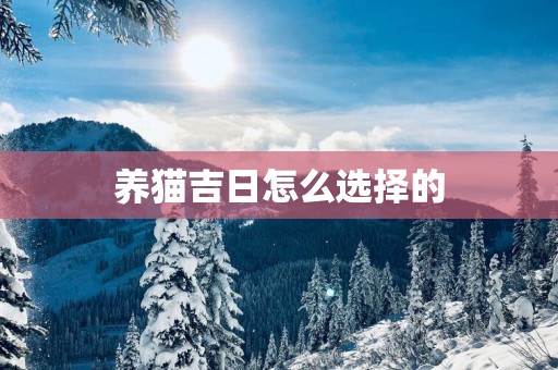 养猫吉日怎么选择的