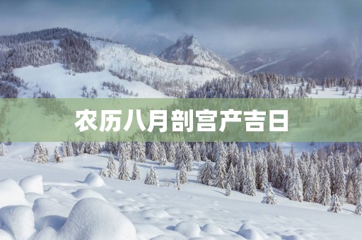 农历八月剖宫产吉日