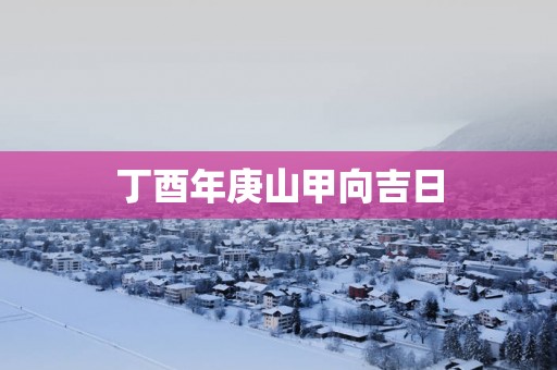 丁酉年庚山甲向吉日