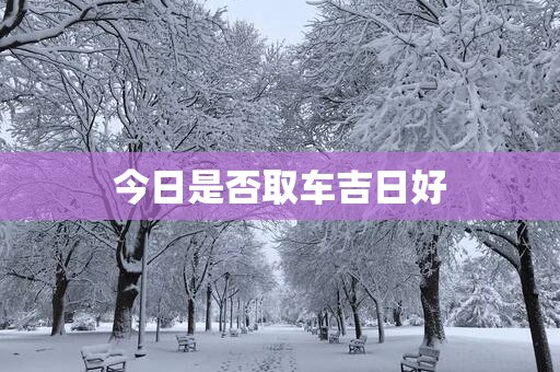 今日是否取车吉日好