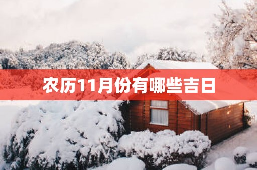 农历11月份有哪些吉日