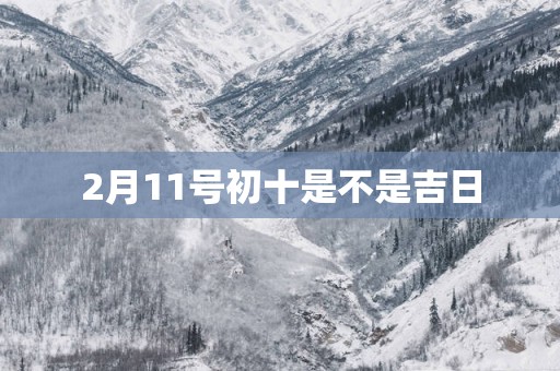 2月11号初十是不是吉日