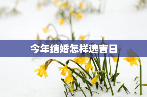 今年结婚怎样选吉日