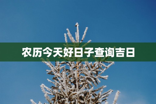 农历今天好日子查询吉日