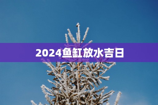 2025鱼缸放水吉日