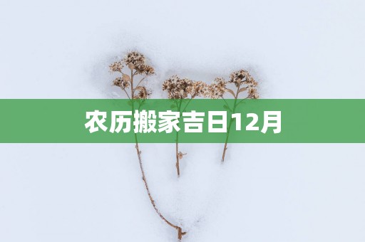 农历搬家吉日12月