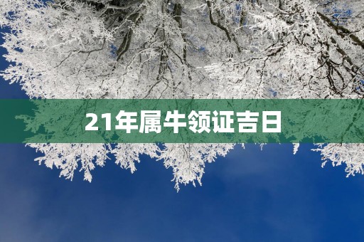 21年属牛领证吉日