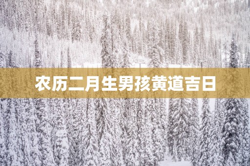 农历二月生男孩黄道吉日