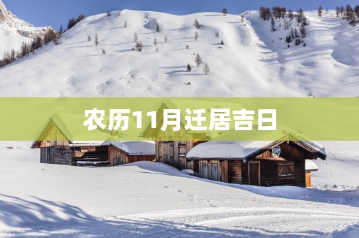 农历11月迁居吉日