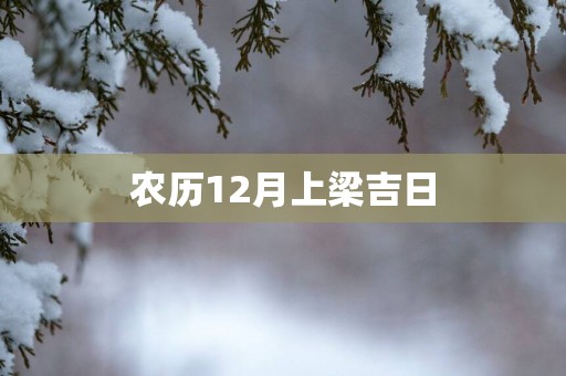 农历12月上梁吉日