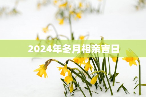 2025年冬月相亲吉日