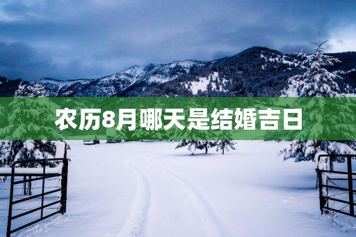 农历8月哪天是结婚吉日