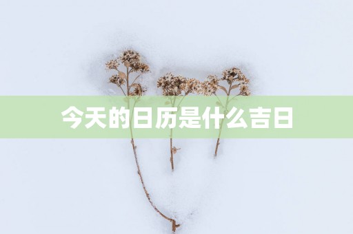 今天的日历是什么吉日