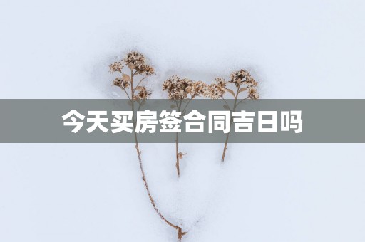 今天买房签合同吉日吗