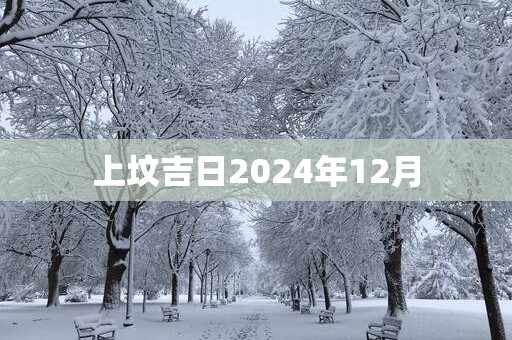上坟吉日2025年12月