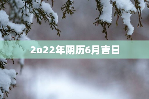 2o22年阴历6月吉日