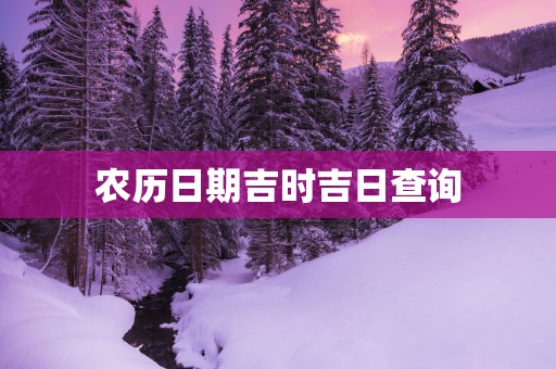 农历日期吉时吉日查询