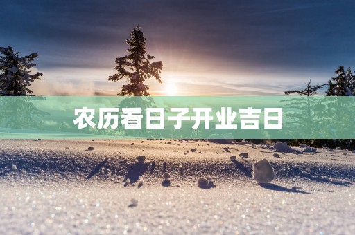 农历看日子开业吉日