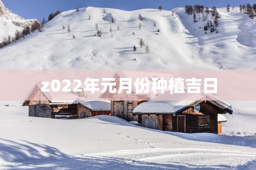 z022年元月份种植吉日