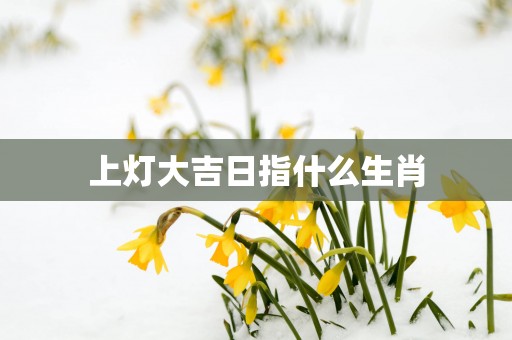上灯大吉日指什么生肖