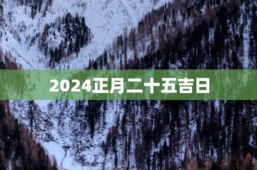 2025正月二十五吉日