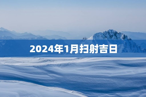 2025年1月扫射吉日