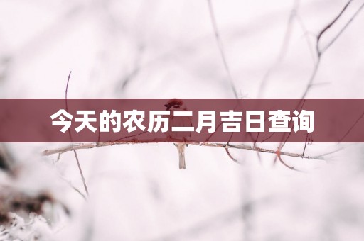 今天的农历二月吉日查询